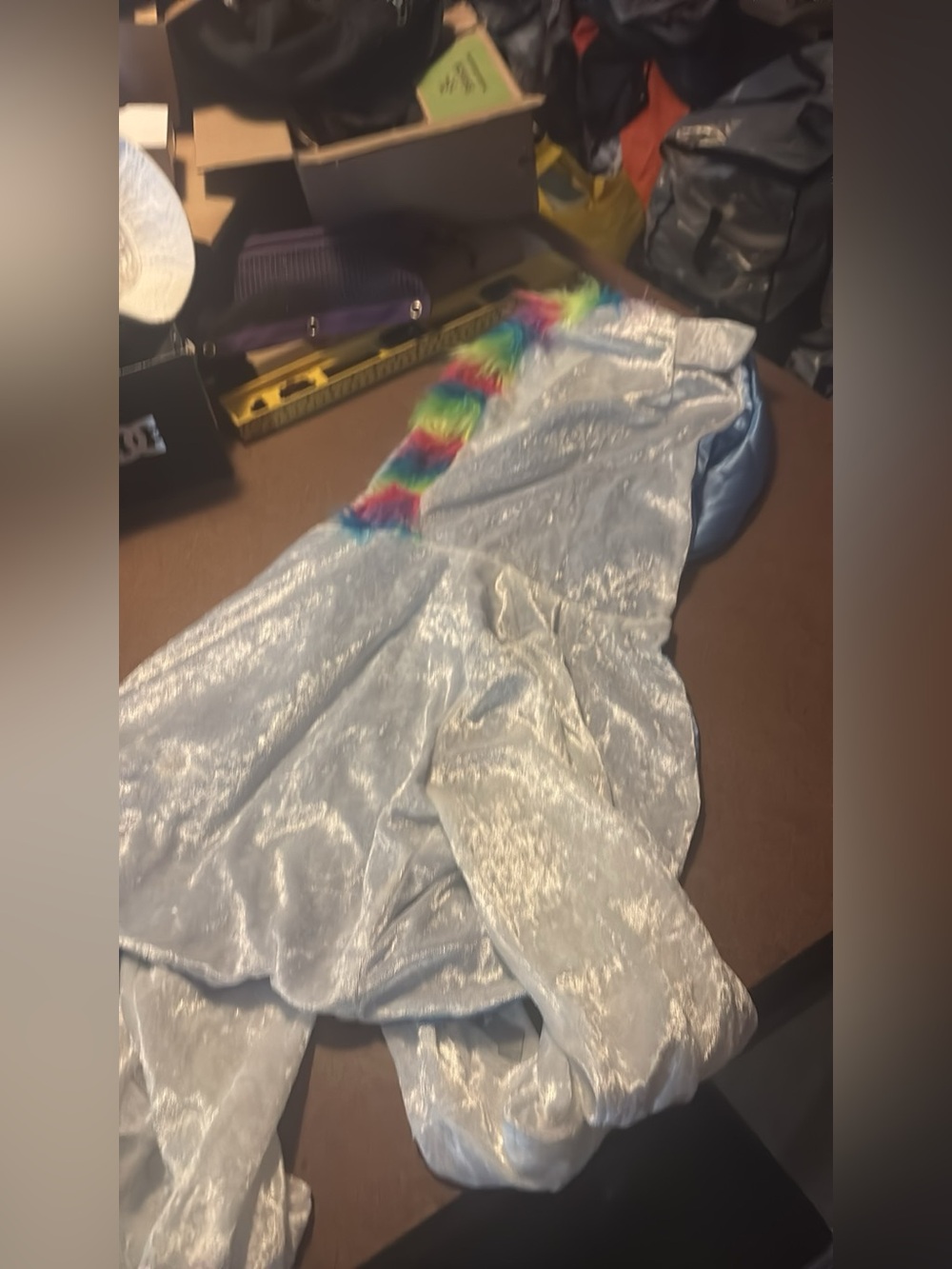 Kids Silver Velvet Hoodie with Rainbow Fur Trim unicorn large adult